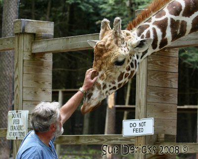 IMG_6547b.jpg