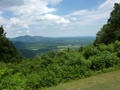 P1000193.jpg