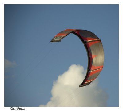The Wind