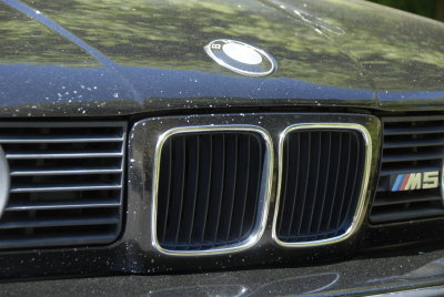 Rock chips