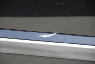 g1/51/415951/3/110930690.xv9cf8On.jpg