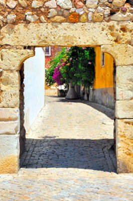 Castle Door