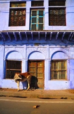 Traditional house