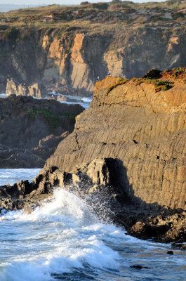 The Rocks and the Waves