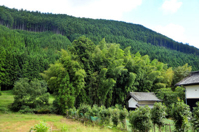 Rural Japan