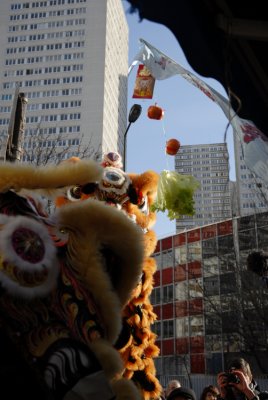 February 2008 - New Chinese Year - Avenue d'Ivry 75013