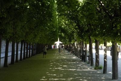 May 2008 - Jardin du Palais Royal 75001