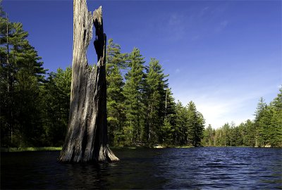 _DSC4578m_sm.jpg