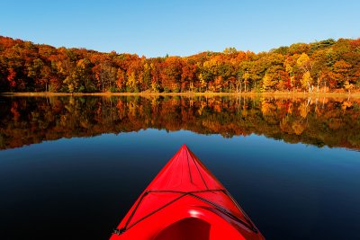 NY Fall Foliage