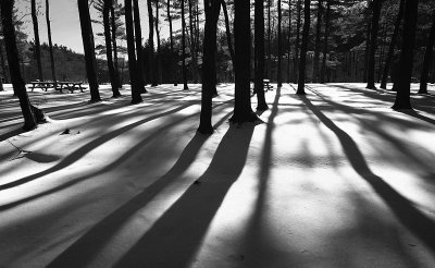 1DN_5444bw_sm.jpg