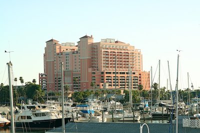 IMG_1824.jpg