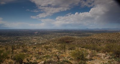Tucson Sonora Desert