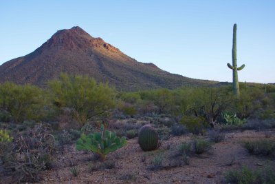 0E6R1261Tucson.jpg
