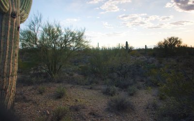 0E6R1265Tucson.jpg