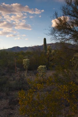 0E6R1274Tucson.jpg