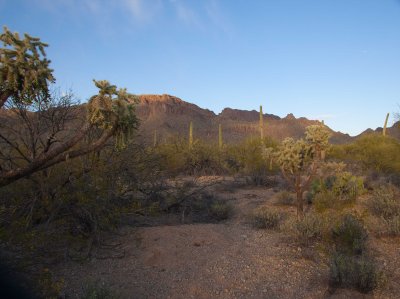 0E6R1288Tucson.jpg