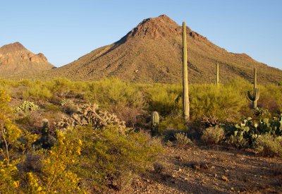 0E6R1303Tucson.jpg
