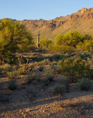 0E6R1321Tucson.jpg