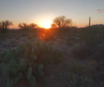 0E6R1374Tucson.jpg