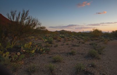 0E6R1376Tucson.jpg
