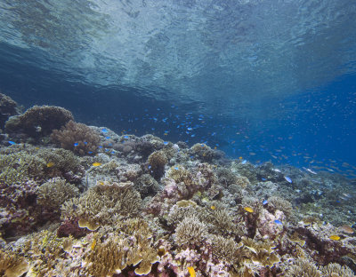 g1/51/521751/3/129976193.uQFrwbG7.jpg