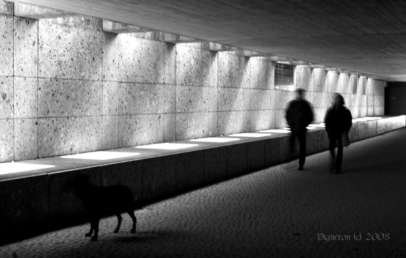 Munich. Contrast & perspective