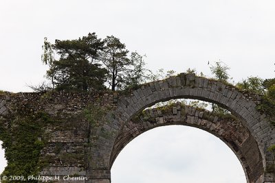 NDLR : Des vestiges qui ne dureront pas lontemps avec des arbres poussant dessus