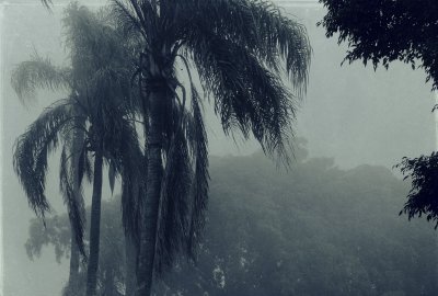 More Fog