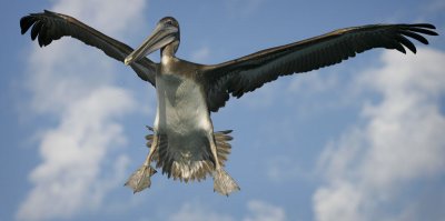 On Final Approach