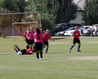 _MG_0504.JPG