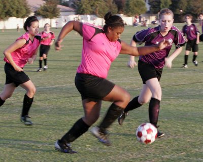 _MG_0413.JPG