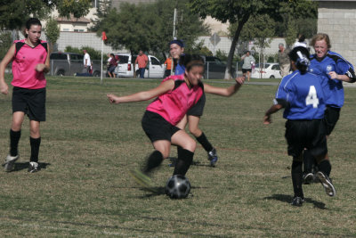 _MG_0449.JPG