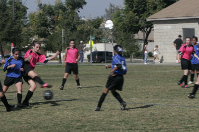 _MG_0702.JPG