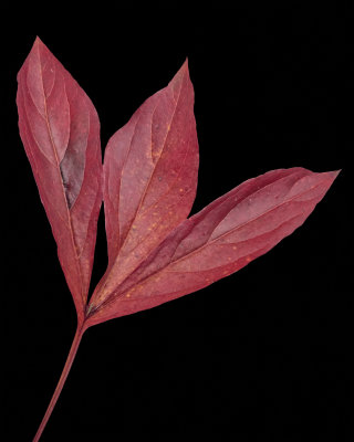 g1/51/659951/3/103981177.kzysF7e5.jpg