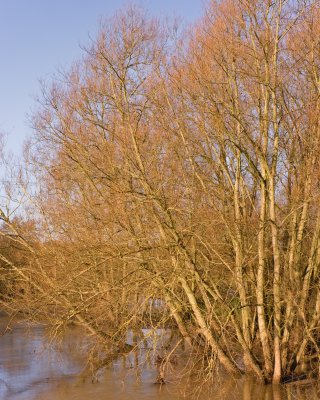 Sandford lock