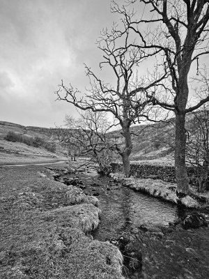 Malham 210