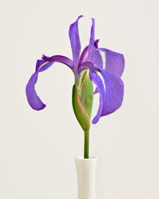g1/51/659951/3/97324222.36PCkuRN.jpg