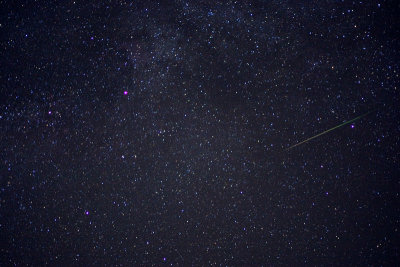 Perseidweb.jpg