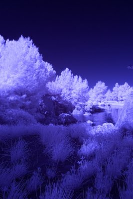 JapaneseGardenweb.jpg
