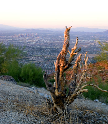 SouthMountainweb.jpg