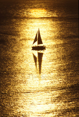  Sailing Silhouette