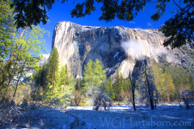 El Capitan Meadow