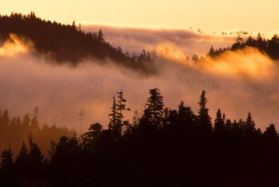 Mendocino Headlands