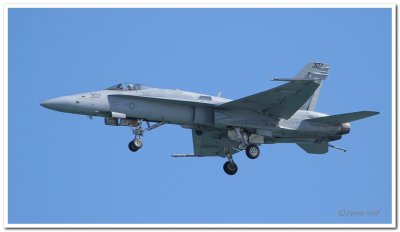 USN F-18 Hornet