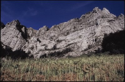 Mount Corchia