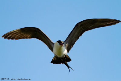 g1/51/738051/3/126595420.Lxv107u4.jpg