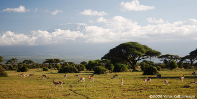 Mt Kilimandjaro / Amboseli