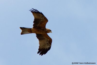 g1/51/738051/3/93532935.ku78Bm50.jpg