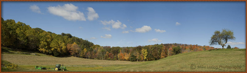 tree_Panorama fall d3.jpg