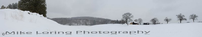 snow tree panarama1.jpg